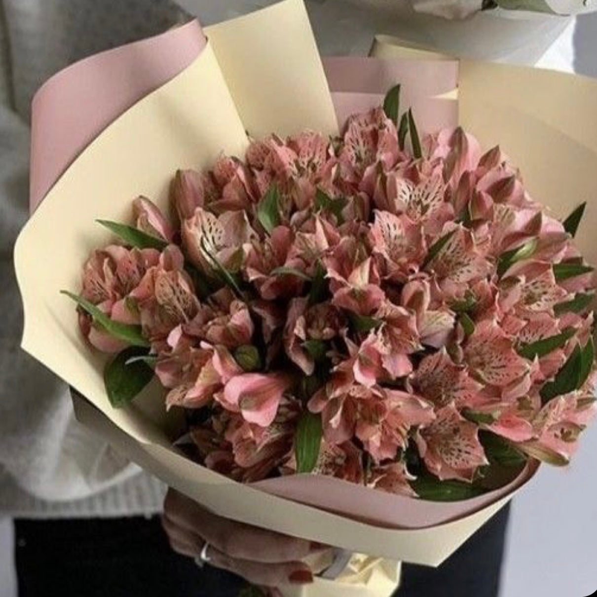 Alstroemeria Arrangement - Fresh Flowers