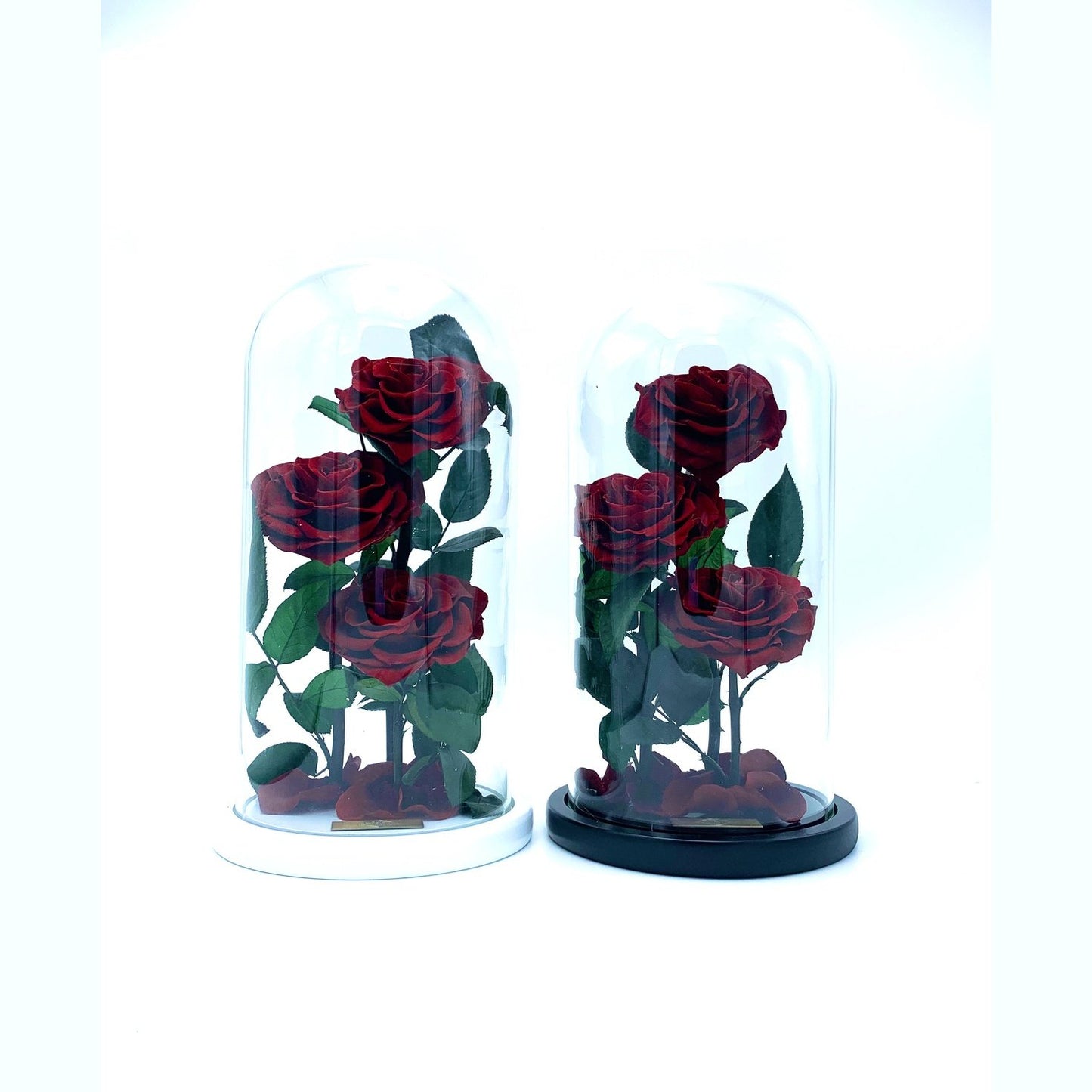 Eternity 3-in-1 Rose in Enchanted Glass Dome