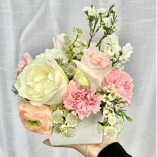 White and Pink Glory